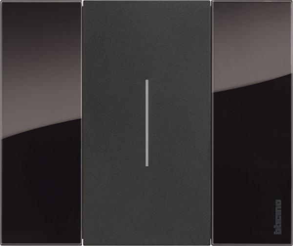 Купить BT Living now Ночь Рамка немецкий стандарт 2 мод KA4802DG