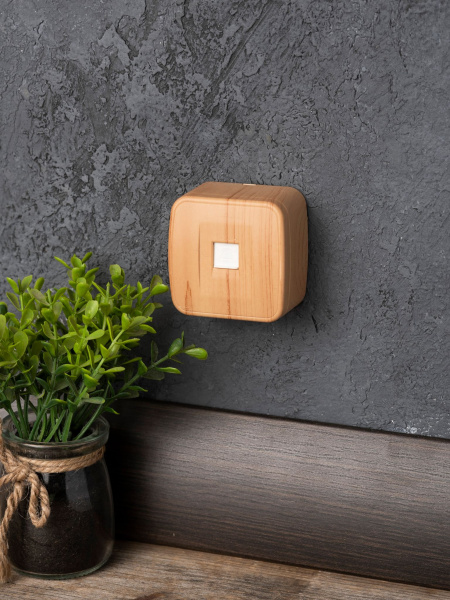 Купить EKF Basic Минск Светлое дерево Розетка RJ-11, ОП