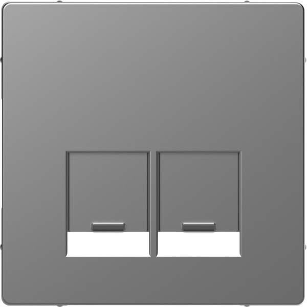 SE Merten D-Life Нержавеющая Сталь Накладка центральная для 2-х модульных разъемов, пол. для надписи MTN4572-6036