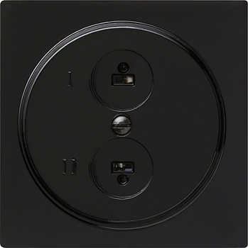 Gira S-Color Черный Аудиорозетка 2-ая 040247