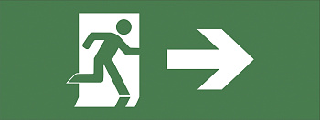 ЭРА INFO-DBA-002 Самоклеящаяся этикетка 200х60мм "Фигура/стрелка вправо" DPA/DBA