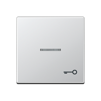 JUNG Клавиша для контрольного выключателя со знаком ключ алюминий A590KO5TAL