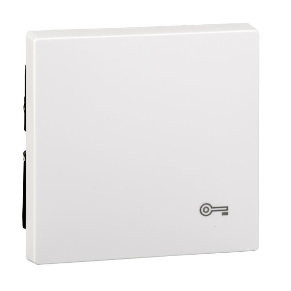 Купить SE Merten SM Бел Актив Клавиша с пиктограммой «ключ» MTN3303-0325