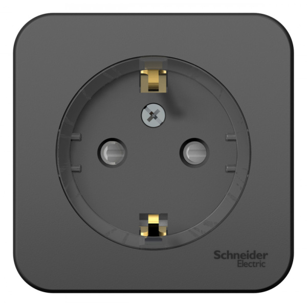 Systeme Electric Blanca наруж Антрацит Розетка с/з со шторками, (тонкая) 16А, 250В, изолир. пластина