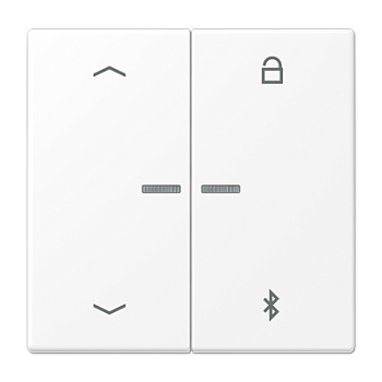 JUNG LS 990 Белый матовый Таймер универсальный Bluetooth с символами "стрелки" LS1751PBTWWM