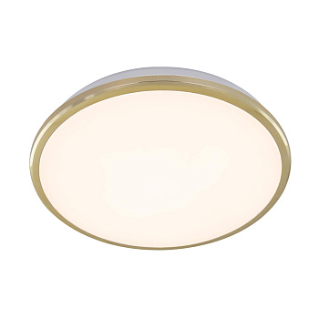 Citilux Потолочный светодиодный светильник Луна CL702222W