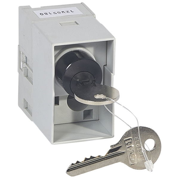 Купить Legrand Блокиратор Profalux для моторизированных выкатных DPX - для механизма Debro-lift 2 ключа 026579