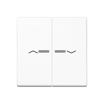 JUNG Клавиша для выключателя с подсветкой, белый A595BFKO5PWW