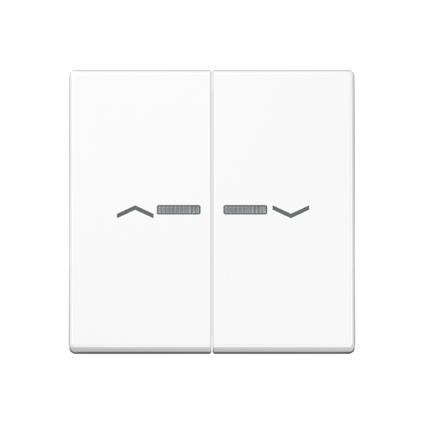 JUNG Клавиша для выключателя с подсветкой, белый A595BFKO5PWW