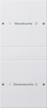 Gira Набор клавиш 2-местный (1+1),  ГРАВИРОВКА 220203