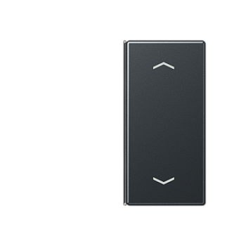 JUNG клавиша, 2 группы, матовый антрацит A402TSAPANM