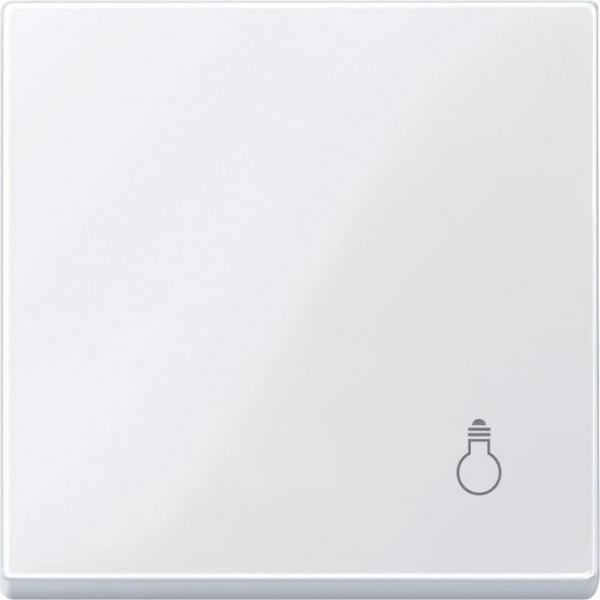 Купить SE Merten SM Бел Актив Клавиша с пиктограммой «свет» MTN438925