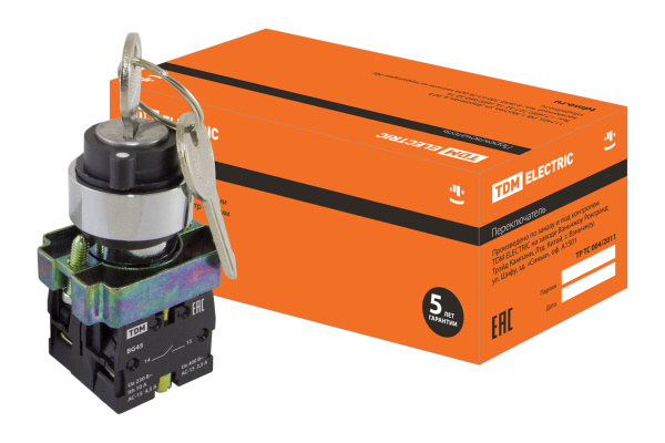 TDM Переключатель BG45 черный 2 положения с ключом 1з+1р SQ0703-0009