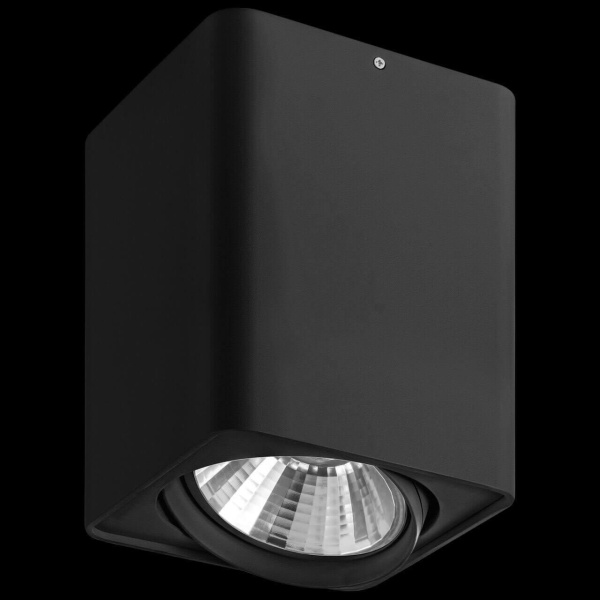 Купить Lightstar Светильник точечный накладной декоративный под заменяемые галогенные или LED лампы Monocco Lightstar 212637