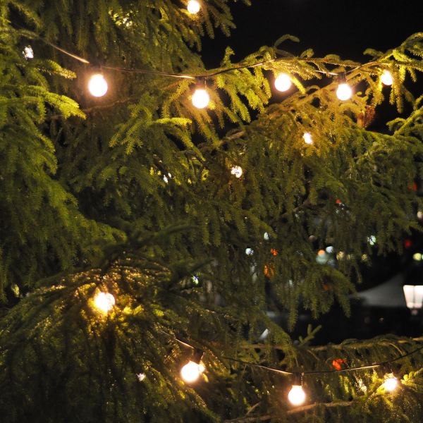 Купить Gauss Гирлянда садовая на солнечной батарее 30 LED ламп Шары Белый свет Solar, 1/24 GS032