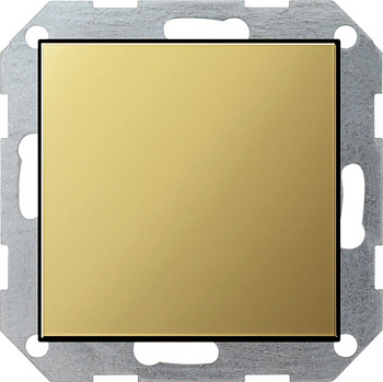 Gira S-55 Латунь Заглушка с опорной платой 0268604