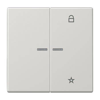 JUNG Центральная плата универсальная, светло-серый LS1701LG