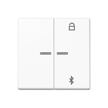 JUNG Таймер универсальный Bluetooth, белый A1751BTWW