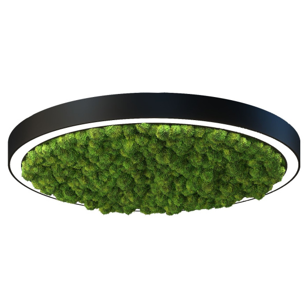 Svetholl Стэрия мосс (Обычная версия) D608 Мощность: 24W ISSTM3-065045-060820024