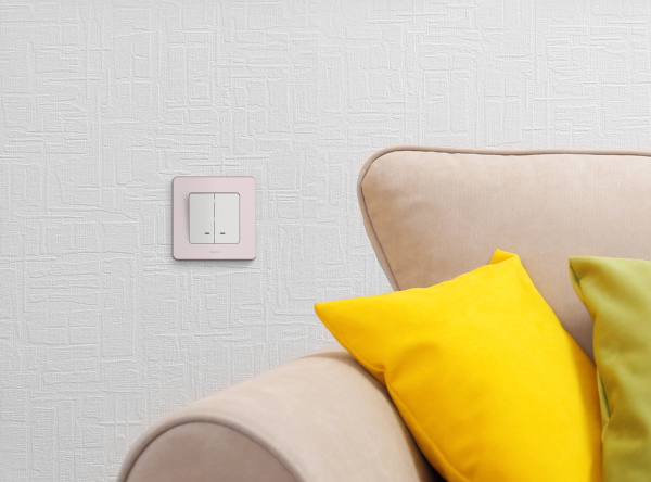 Купить Legrand INSPIRIA Белый Выключатель двухклавишный с подсветкой/индикацией 10 AX - 250 В 673630