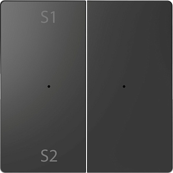 SE Merten D-Life Антрацит PlusLink Клавиша 2-ая с S1/S2, пусто MTN5226-6034
