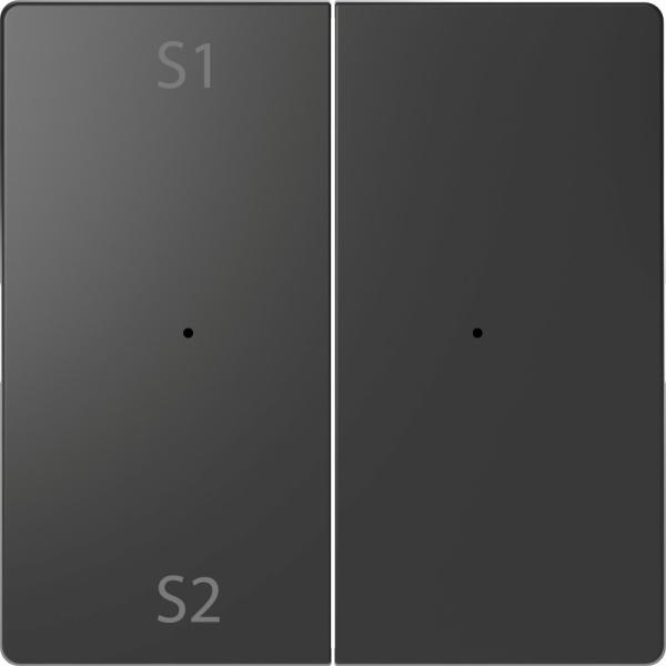 SE Merten D-Life Антрацит PlusLink Клавиша 2-ая с S1/S2, пусто MTN5226-6034