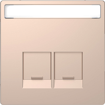 SE Merten D-Life Шампань Накладка центральная для 2-х модульных разъемов MTN4574-6051