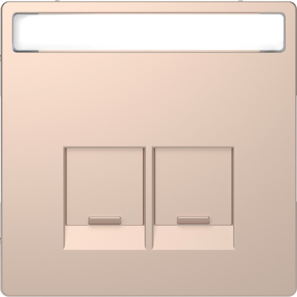 SE Merten D-Life Шампань Накладка центральная для 2-х модульных разъемов MTN4574-6051