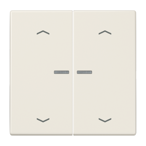 JUNG Клавиши для сдвоенной кнопки BCU белые LS995KO5MP