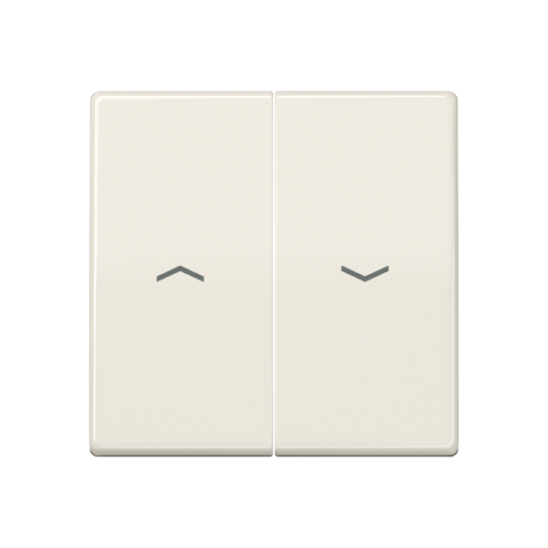 JUNG Клавиши для выключателя управления жалюзи термопласт слоновая кость AS591-5PBF