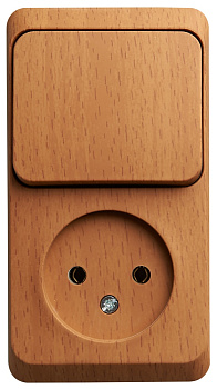 Systeme Electric Этюд наруж Бук Блок: Розетка б/з + выключатель 1-клавишный