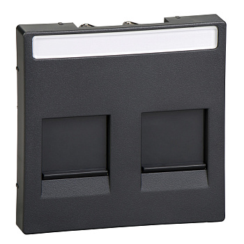 SE Merten SM Антрацит Центральная плата 2-ая для модулей штепсельных разъемов MTN4564-0414