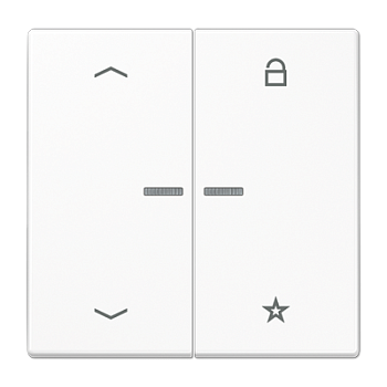 JUNG Центральная плата для вставок управления двигателями, белый LS1701PWW