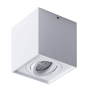 Arte Lamp FACTOR Потолочные светильники A5544PL-1WH