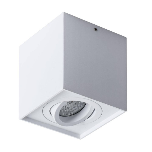 Arte Lamp FACTOR Потолочные светильники A5544PL-1WH