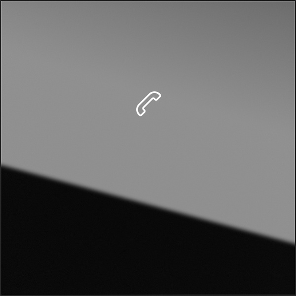 Gira Модуль индикации System 106 5567000