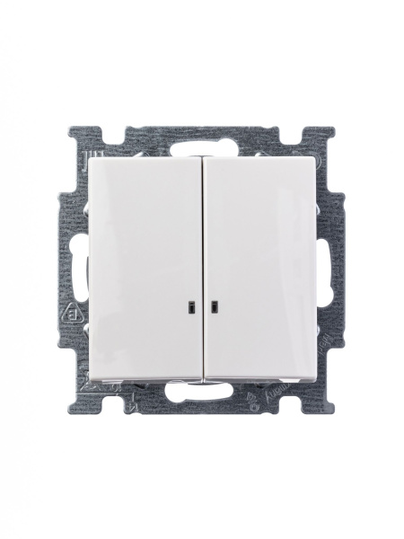 Купить ABB BJB Basic 55 Бел Выключатель 2-клавишный с подсветкой 2CKA001012A2154