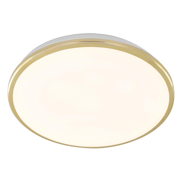 Citilux Светильник потолочный светодиодный Луна CL702302W