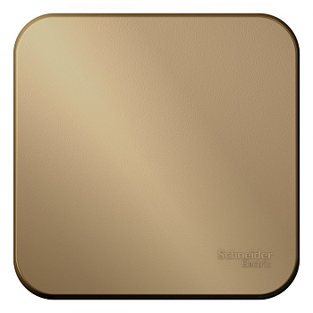 Systeme Electric Blanca наруж Титан Выключатель 1-клавишный с самовозвратом, 10А, 250В, изолир. пластина