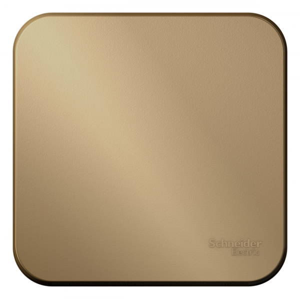 Systeme Electric Blanca наруж Титан Выключатель 1-клавишный с самовозвратом, 10А, 250В, изолир. пластина