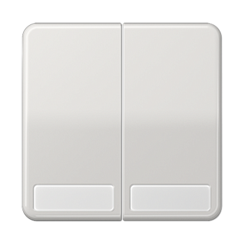 JUNG CD 500/CD plus Светло-серая Клавиша 2-ая с полем для надписи CD595NALG