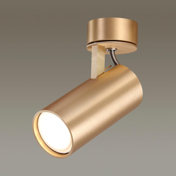 Купить Odeon Light Спот Corse 3876/1C