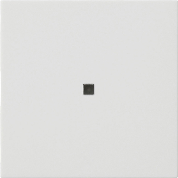 Gira Бел матовый Накладка управления S3000 BT 536827