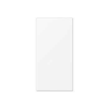 JUNG Центральная Накладка в цвет клавиш для модуля F50 термопласт белый матовый A50NAWWM