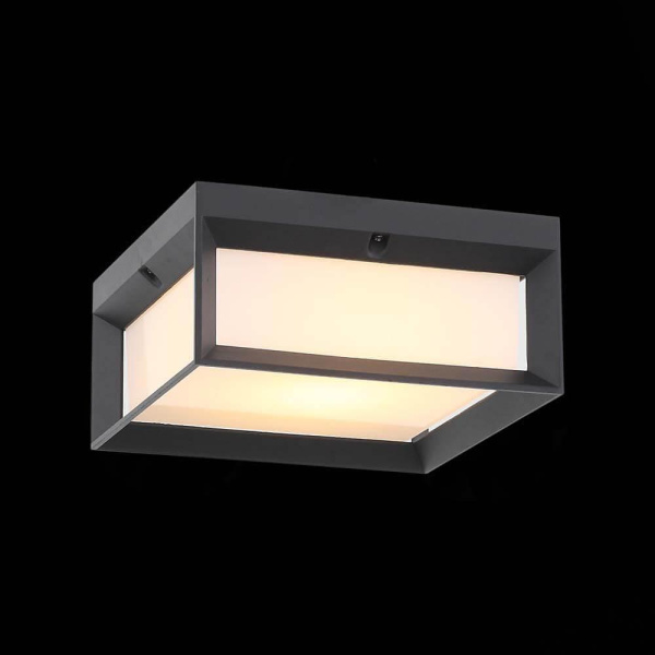 ST LUCE SL077.402.01 Светильник уличный потолочный  Черный/Белый LED 1*12W Купить ST LUCE SL077.402.01 Светильник уличный потолочный  Черный/Белый LED 1*12W