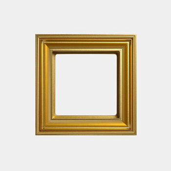 JUNG EcoProfi DECO Золото Рамка 1-ая EPD481GO