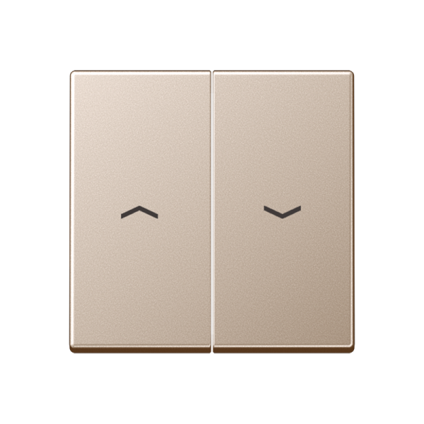 JUNG A 500 Шампань Клавиша для жалюзи выключателя A595PCH