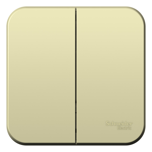 Купить Systeme Electric Blanca наруж Беж Выключатель 2-клавишный (cх.5) изолир. пластина 10А, 250B