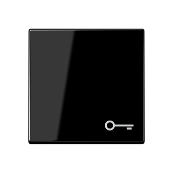 JUNG Клавиша с вимволом двери, чёрный A590BFTSW