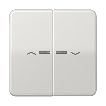 JUNG Клавиши для сдвоенной кнопки BCU светло-серые CD595KO5PLG